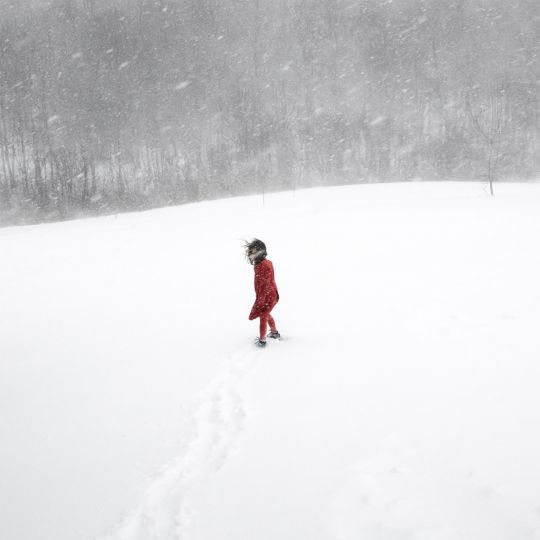Scout & The Blizzard, 2017 © Cig Harvey
