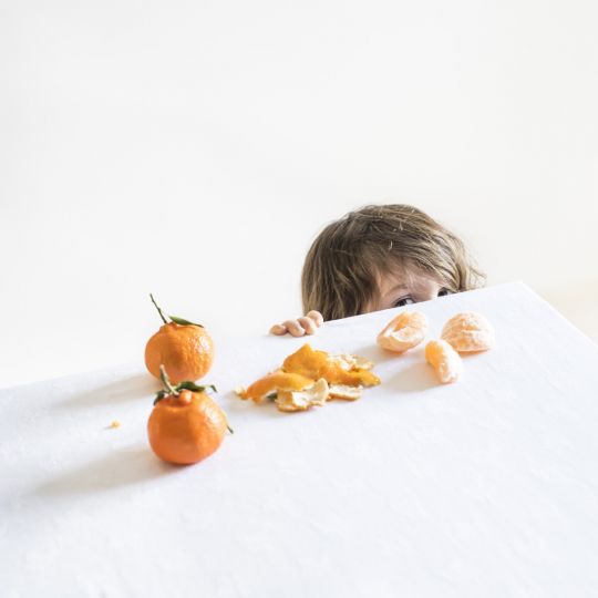 Scout & The Clementine , 2016 © Cig Harvey