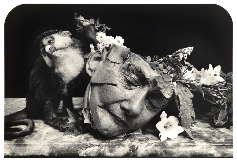 witkin & witkin – dokuarts 11