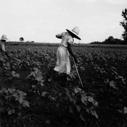 Near Eutah, Alabama 1936 Dorothea Lange © The Dorothea Lange Collection, the Oakland Museum of California, City of Oakland. Gift of Paul S. Taylor
