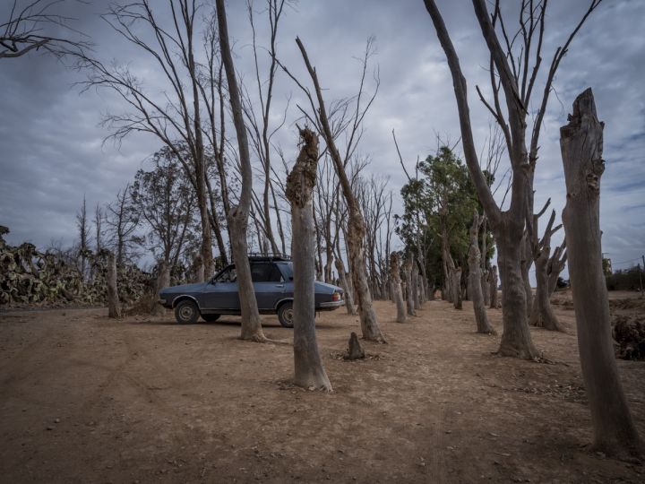 © Khalil Nemmaoui