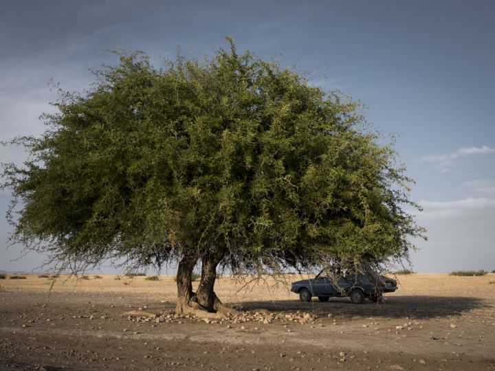 © Khalil Nemmaoui