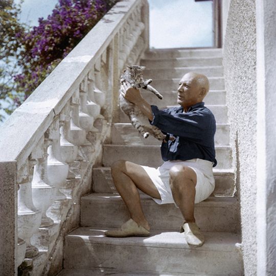 Pablo Picasso © Willy Rizzo