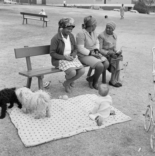 David Goldblatt, Baby with child-minders and dogs in the Alexandra Street Park, Hillbrow, 1972
