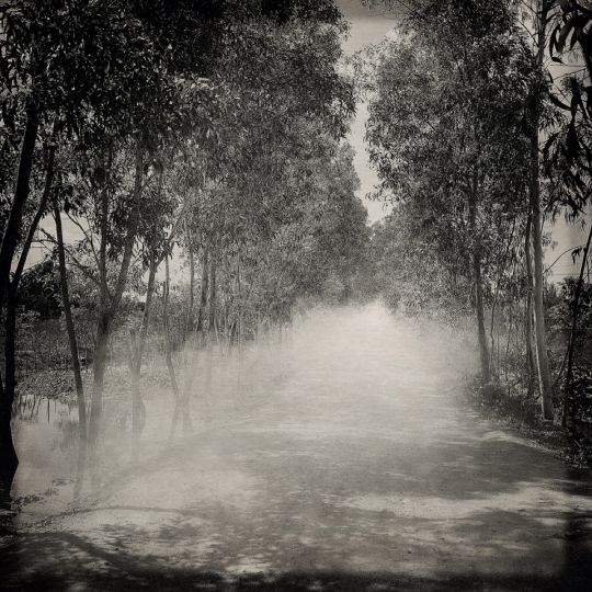 Lointains Souvenirs © FLORE