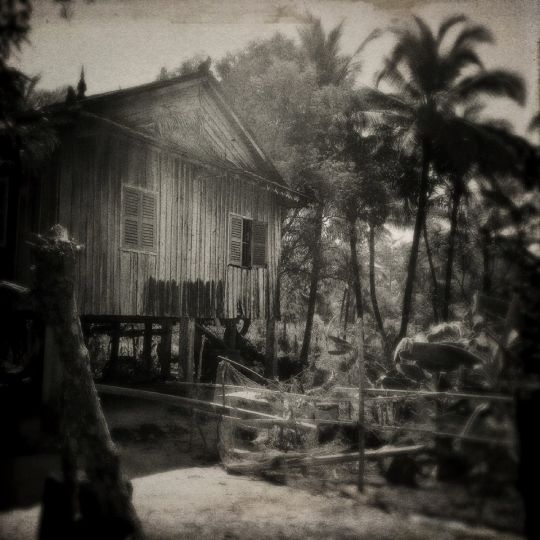 Lointains Souvenirs © FLORE