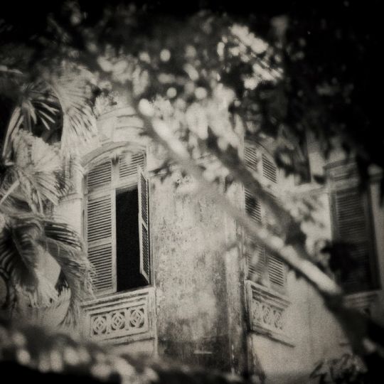 Lointains Souvenirs © FLORE