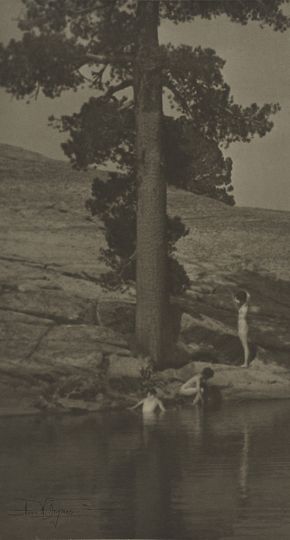 The Pool, circa 1906, gelatin silver print, 9 9/16 x 5 1/8 inches. The Metropolitan Museum of Art, Alfred Stieglitz Collection, 1933. (33.43.105). Image copyright © The Metropolitan Museum of Art. Image source: Art Resource, NY