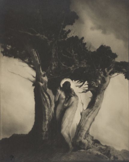 Heart of the Storm, negative circa 1912, gelatin silver print, 9 1/2 x 7 5/8 inches. Wilson Centre for Photography