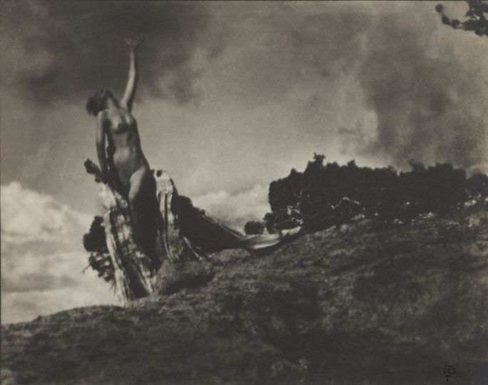 Soul of the Blasted Pine, negative 1906, gelatin silver print, 7 11/16 x 9 5/8 inches. Wilson Centre for Photography