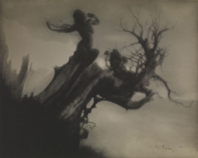 The Storm Tree, 1911, platinum print, 7 5/8 x 9 9/16 inches. The Metropolitan Museum of Art, Alfred Stieglitz Collection, 1933. (33.43.118). Image copyright © The Metropolitan Museum of Art. Image source: Art Resource, NY