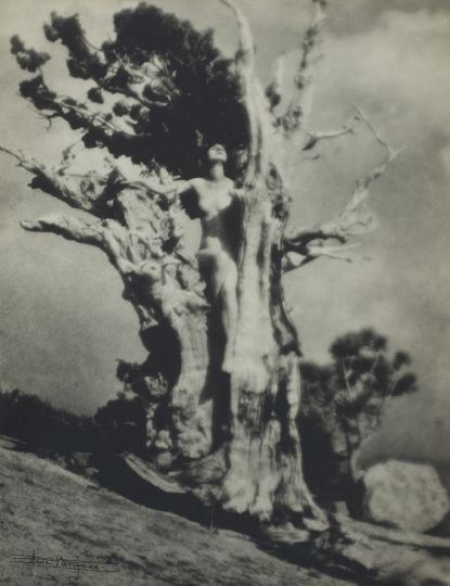 Invictus, circa 1925–26, gelatin silver print, 9 1/2 x 7 5/16. George Eastman Museum, Gift of Willard M. Nott