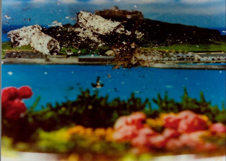 ash on landscape © Martin Parr