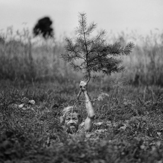 © Adam Panczuk
