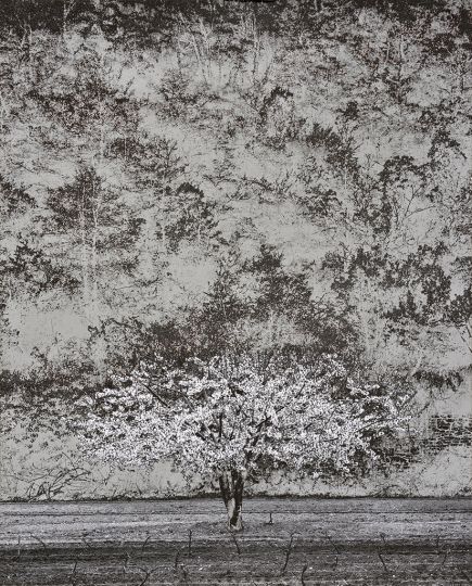 © Denis Brihat
