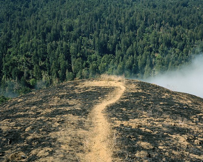 Campsite. An illegal campfire started the fire on this Big Sur overlook. When I saw a mobile phone photo of the scene taken by a member of the Big Sur Volunteer Fire Brigade, I immediately scheduled another trip to try and find it.  - Going South © Kirk Crippens / Schilt Publishing