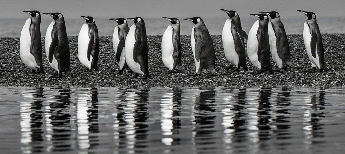 Ocean Eleven © David Yarrow – Courtesy JL Modern