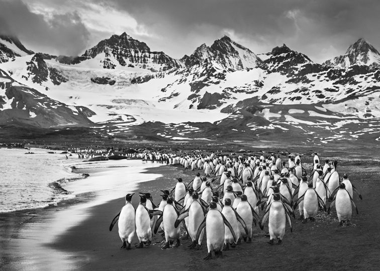 The Breakfast Club © David Yarrow – Courtesy JL Modern