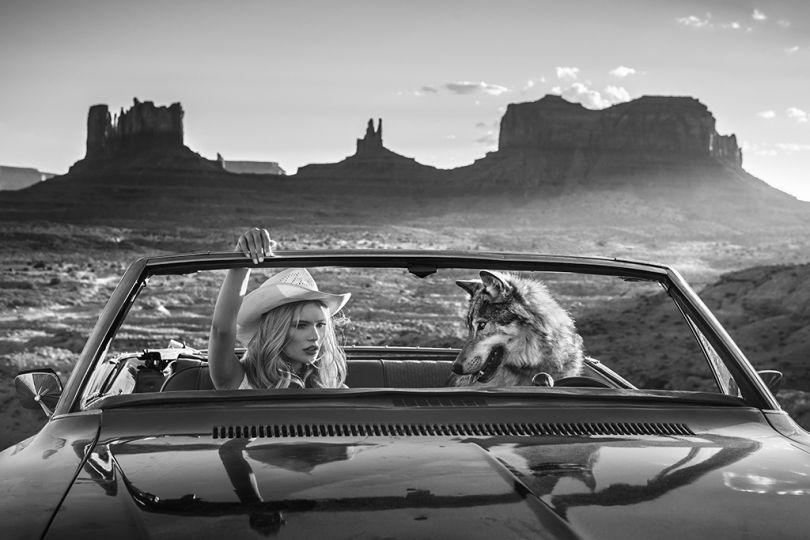 The Break Up 1 © David Yarrow – Courtesy JL Modern