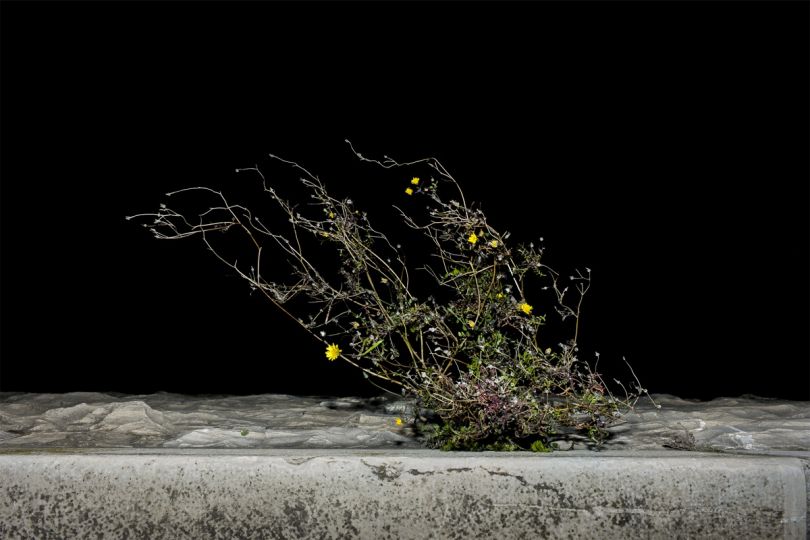 Unwanted © Anna Cherednikova