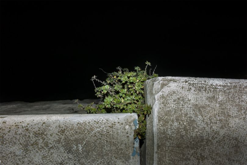 Unwanted © Anna Cherednikova