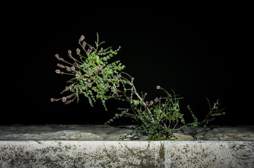 Unwanted © Anna Cherednikova