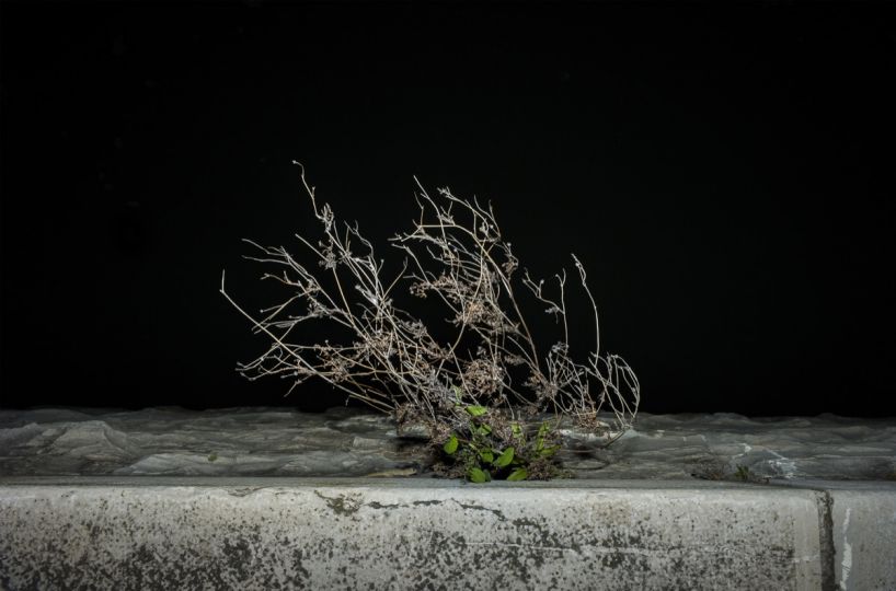 Unwanted © Anna Cherednikova
