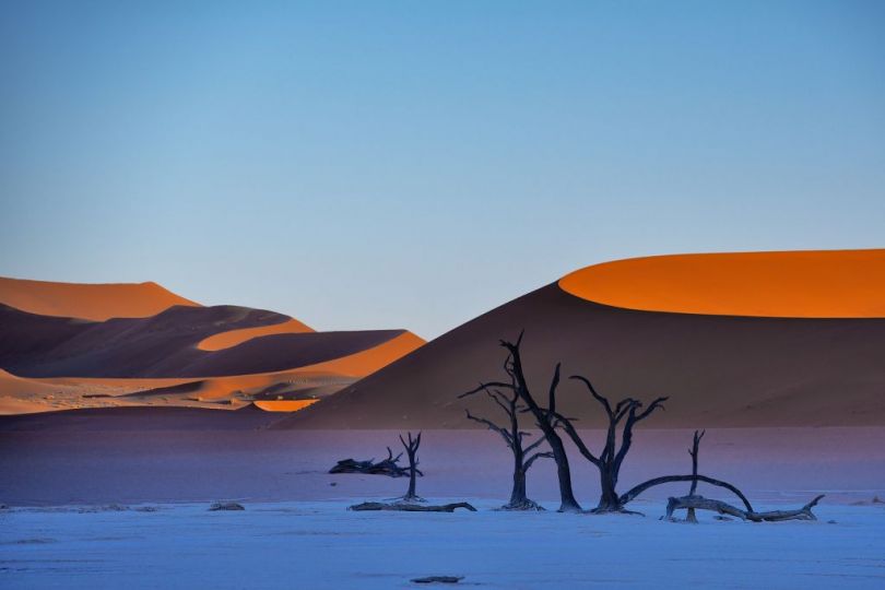 Deadviel dunescape, Namibia ©Trevor Cole