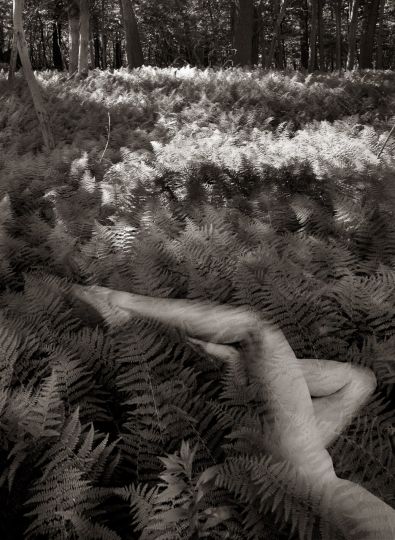 © Ralph Mercer