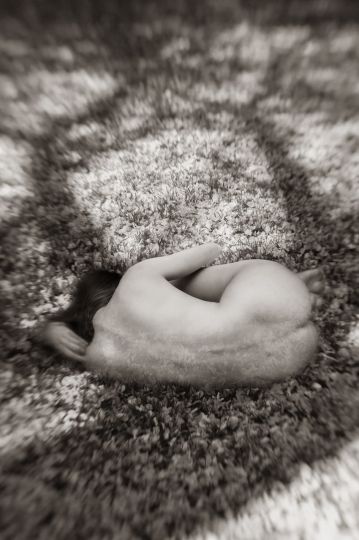 © Ralph Mercer