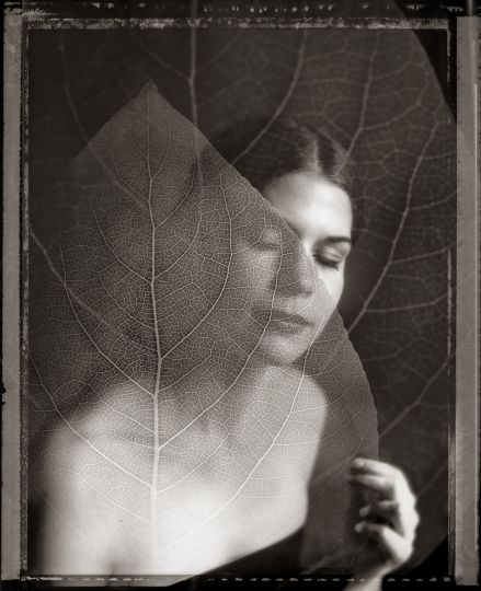 © Ralph Mercer