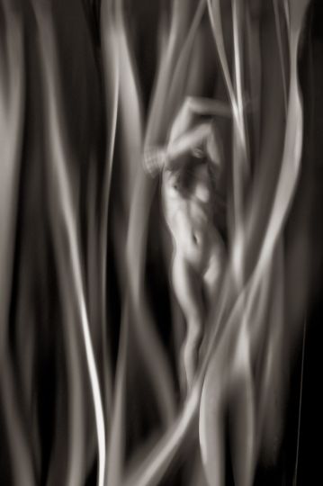 © Ralph Mercer