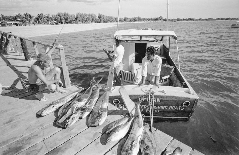 Marlin Fishing in Mexico, 1962. An homage to Ernest Hemingway. © Fred Baldwin