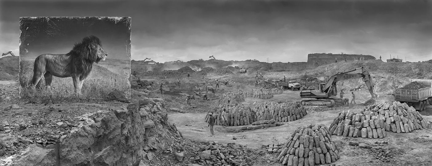 Nick Brandt This Empty World L il De La Photographie Magazine nick-brandt-this-empty-world-l-il-de-la-photographie-magazine