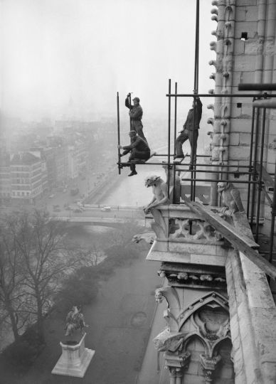 Pose d'un échafaudage sur la cathédrale Notre-Dame. Paris, février 1952. © Collection Roger-Viollet / Roger-Viollet