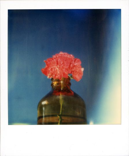La Palma, September-October, 1987 Polaroid 600 © Robby Müller Estate Courtesy Robby Müller Estate