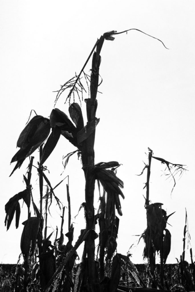 Lucien Clergue - Picasso, my friend - The Eye of Photography Magazine