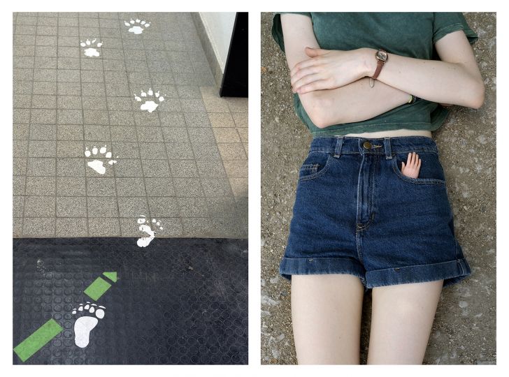 Footprints and Paw prints & Little plastic hand ©Ute Behrend