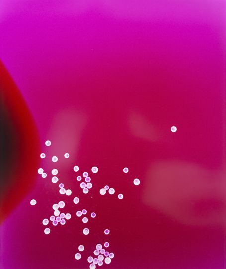 Heatwave © Elsa Leydier