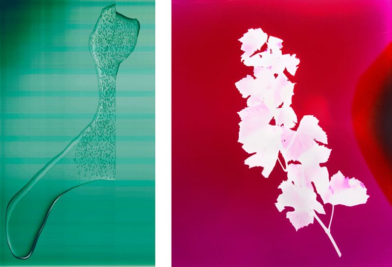 Heatwave © Elsa Leydier