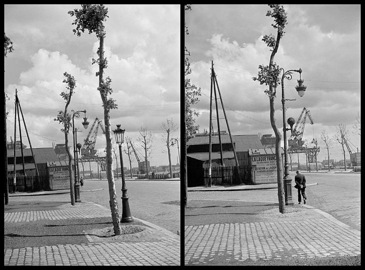  Charenton, vers 1936 Paris, rue brancion, marché aux chiens, vers 1934  - Donation André Kertész © Ministère de la Culture - Médiathèque de l'architecture et du patrimoine, Dist. RMN-Grand Palais 
