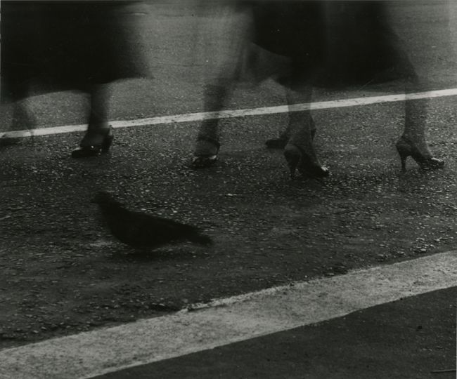 © John Sterling – Courtesy Stephen Daiter Gallery