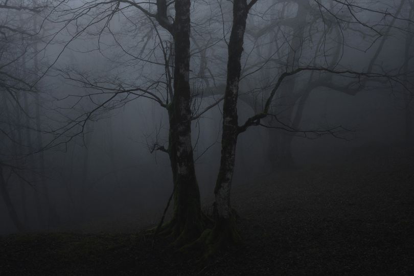© Mehrdad Kanani