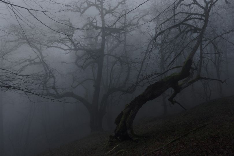 © Mehrdad Kanani