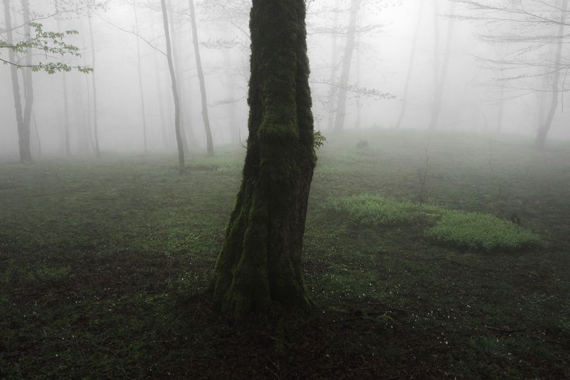 © Mehrdad Kanani