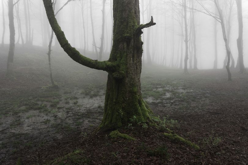 © Mehrdad Kanani