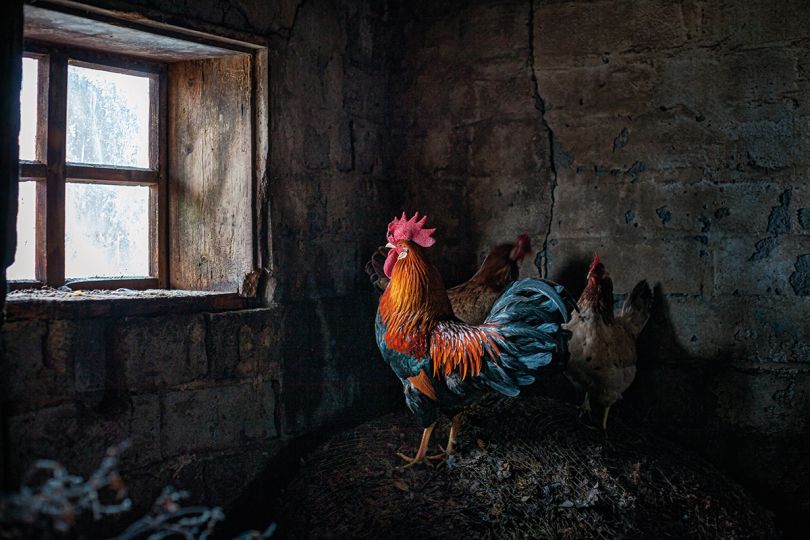 © Anne Helene Gjelstad – Courtesy Dewi Lewis