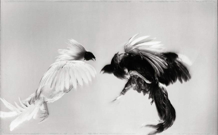 © Hiro – Courtesy Hamiltons Gallery