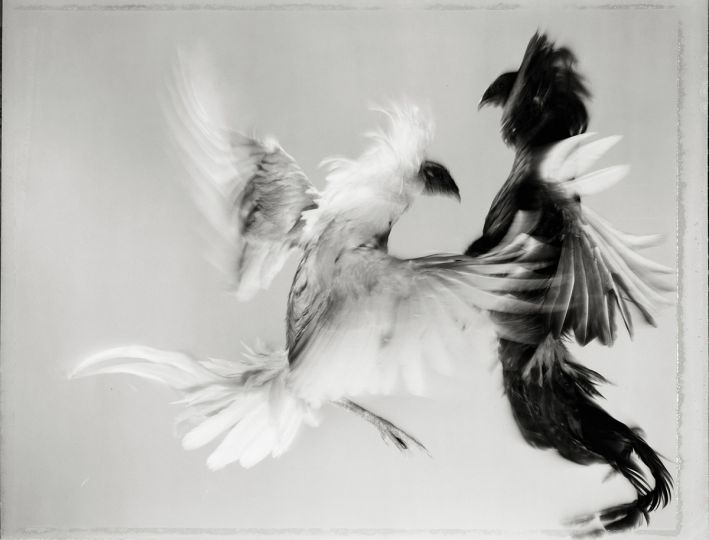 © Hiro – Courtesy Hamiltons Gallery