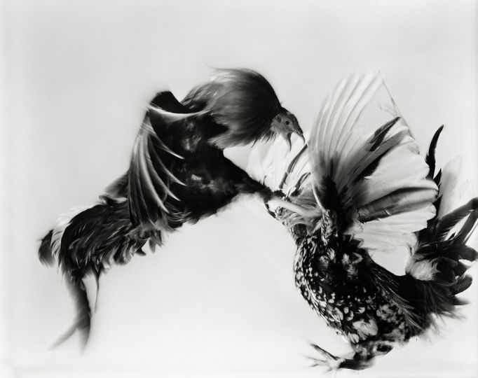 © Hiro – Courtesy Hamiltons Gallery